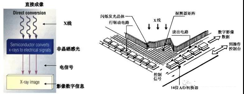 微信图片_20200324162437.jpg